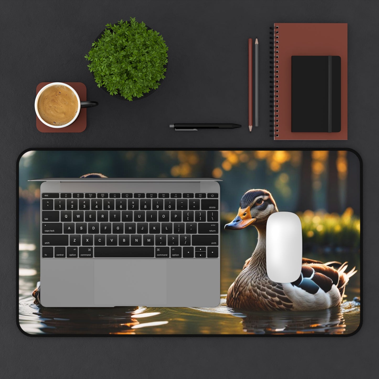 Ducks Desk Mat