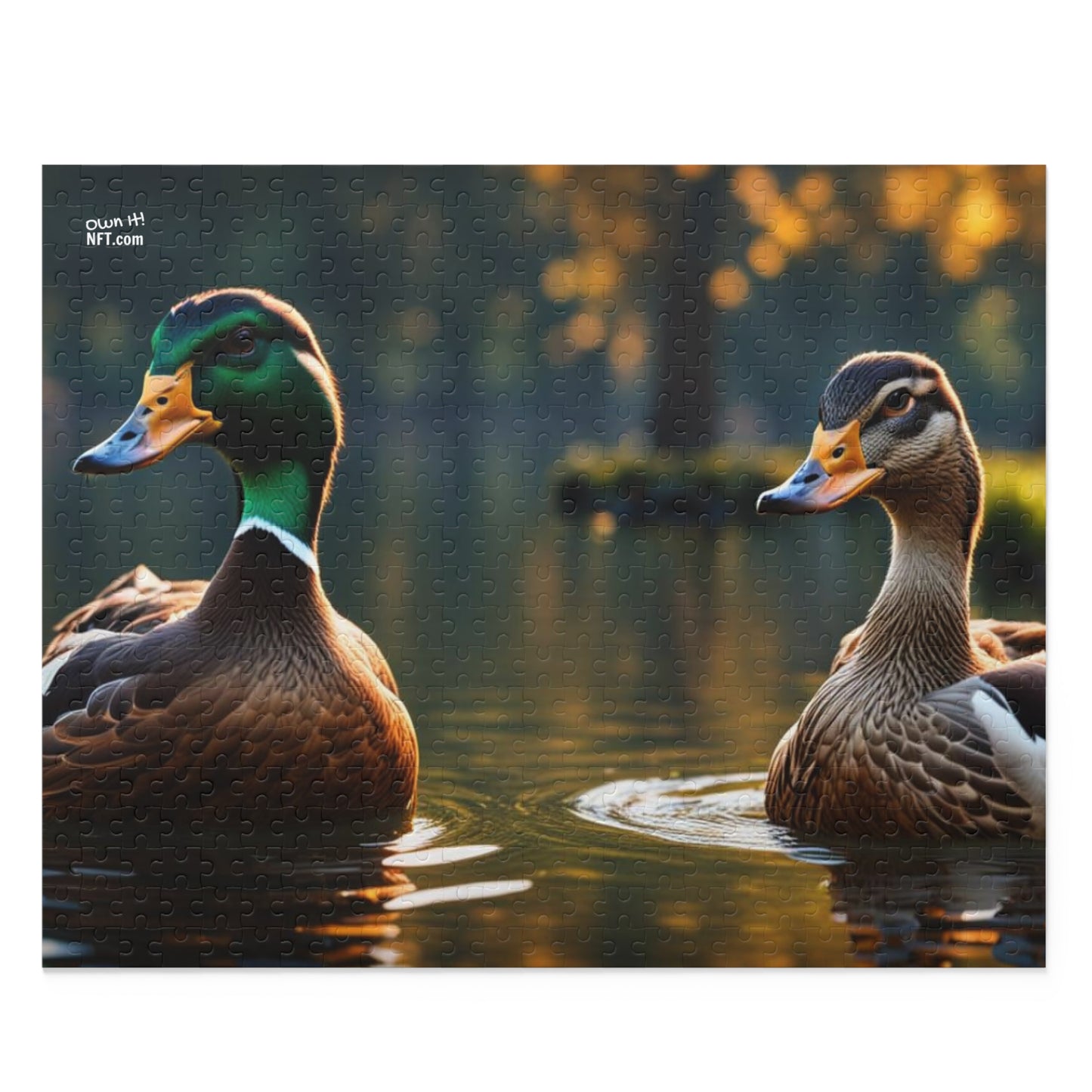 The Ducks Everything Else Art Collection Puzzle (120, 252, 500-Piece)