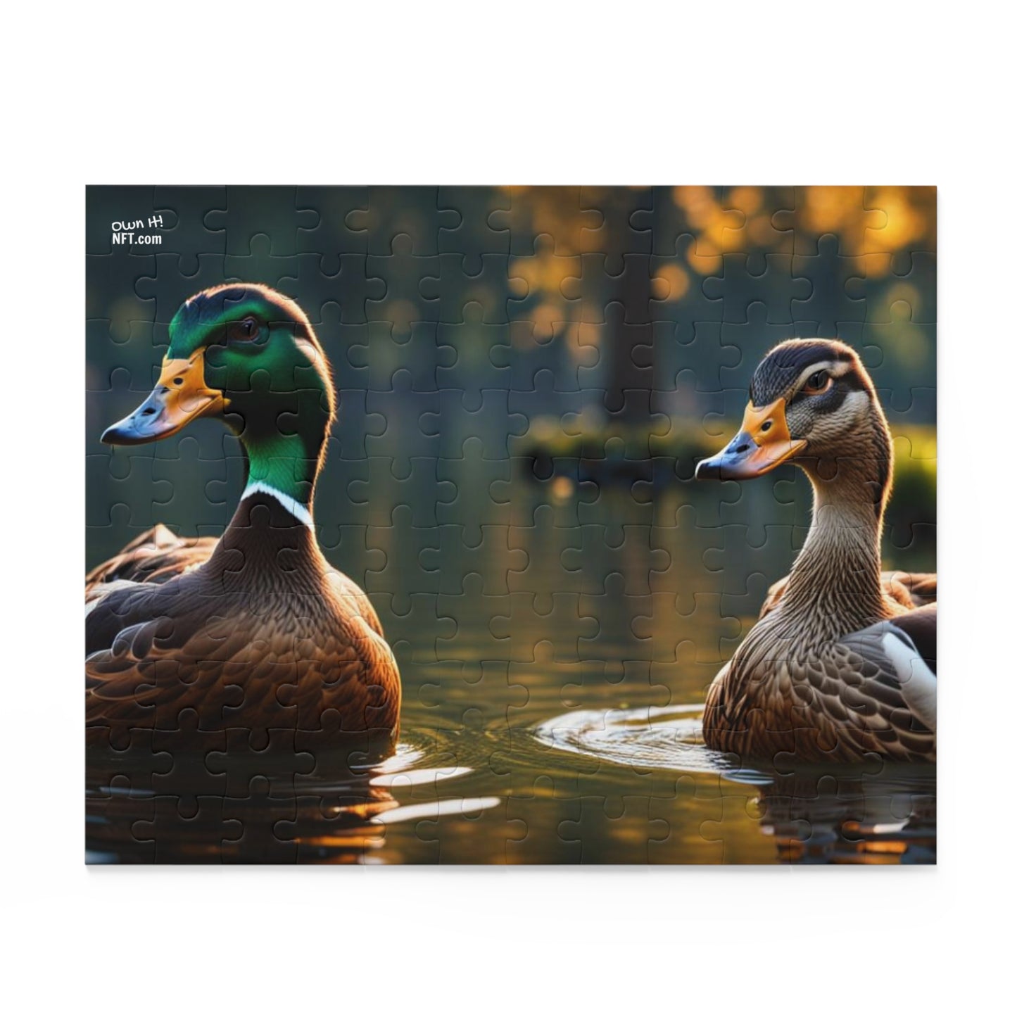 The Ducks Everything Else Art Collection Puzzle (120, 252, 500-Piece)