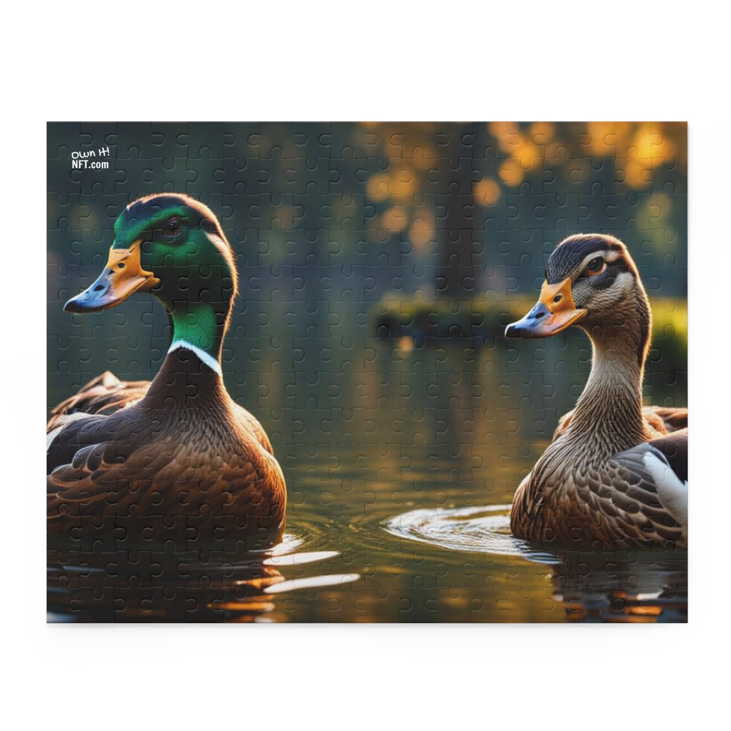 The Ducks Everything Else Art Collection Puzzle (120, 252, 500-Piece)